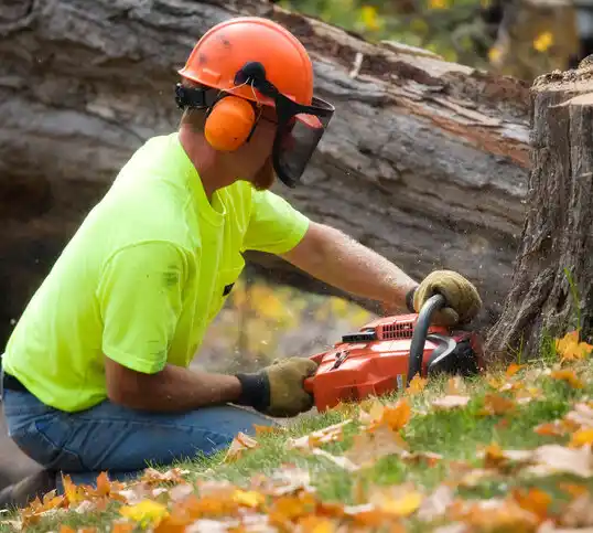 tree services Kerkhoven